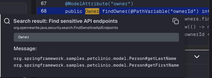 Code diff popup showing Pet class with sensitive getBirthDate method