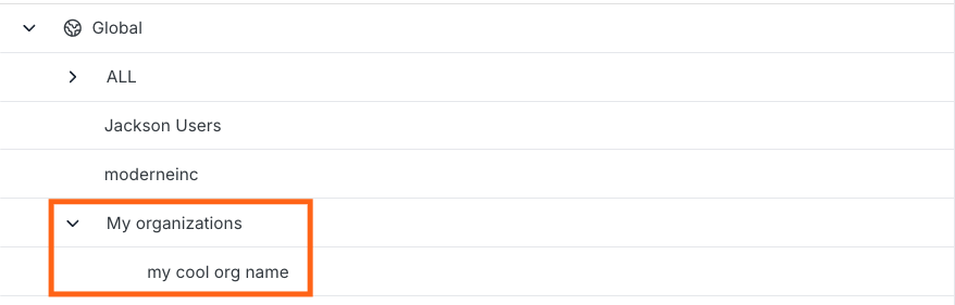 Organizations list with My organizations section expanded showing custom organization